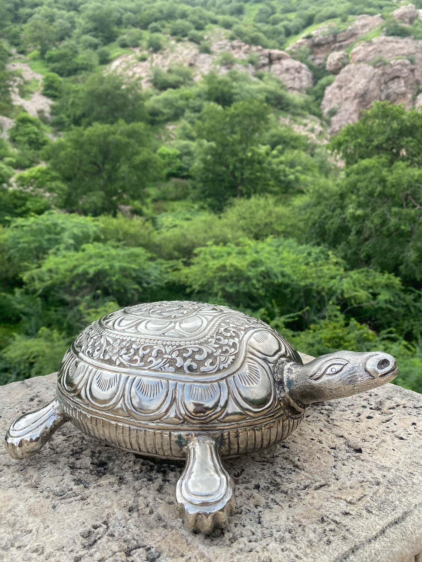 Silver hand carved tortoise